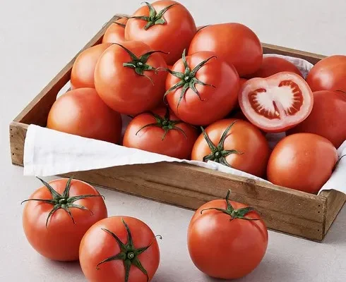 알뜰 쇼핑족 주목!! 오색 칵테일 토마토 5kg Top8