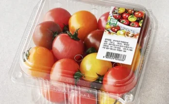 엄마들 사이에서 난리난 전북 김제 오색 칵테일 토마토 5kg 추천드립니다