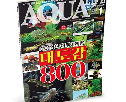 오늘의 원샷원딜 아쿠아플라넷 포함 4大 테마파크 색다른 제주도 3박4일 추천드립니다