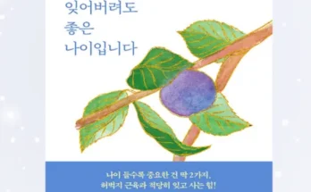 놓치면 후회할 적당히잊어버려도좋은나이입니다 추천상품