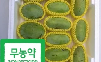 놓치면 후회할 파페포포 베스트8